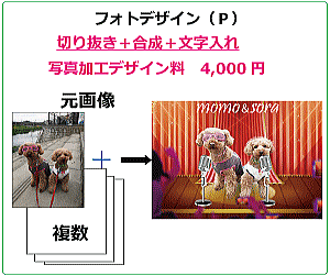 フォトデザイン 作品例