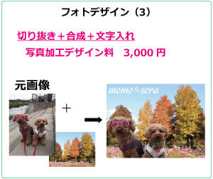 フォトデザイン 作品例